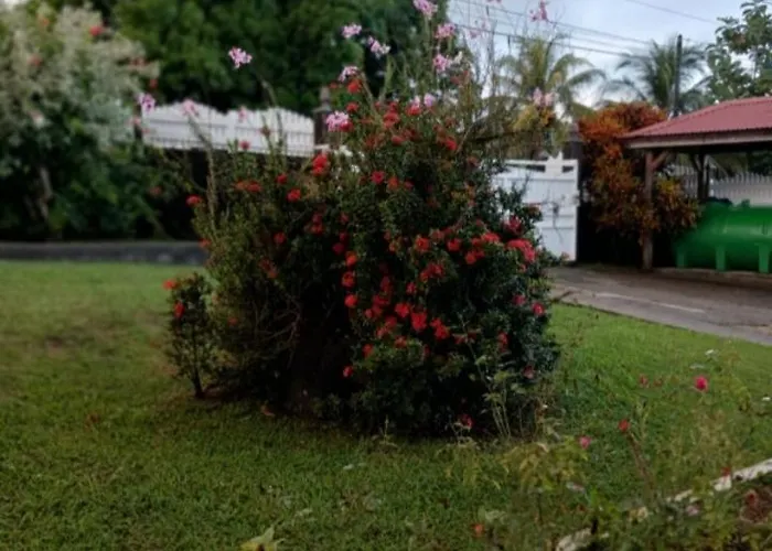 Villa Hibiscus
